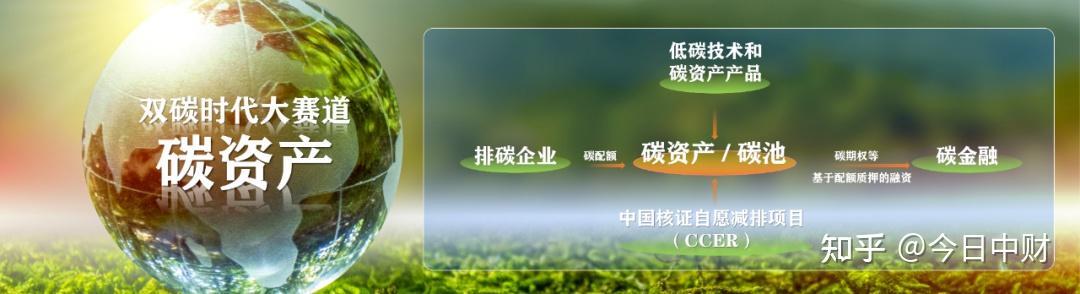 助力碳减排，金融机构联盟逐步推进建立全球碳交易平台