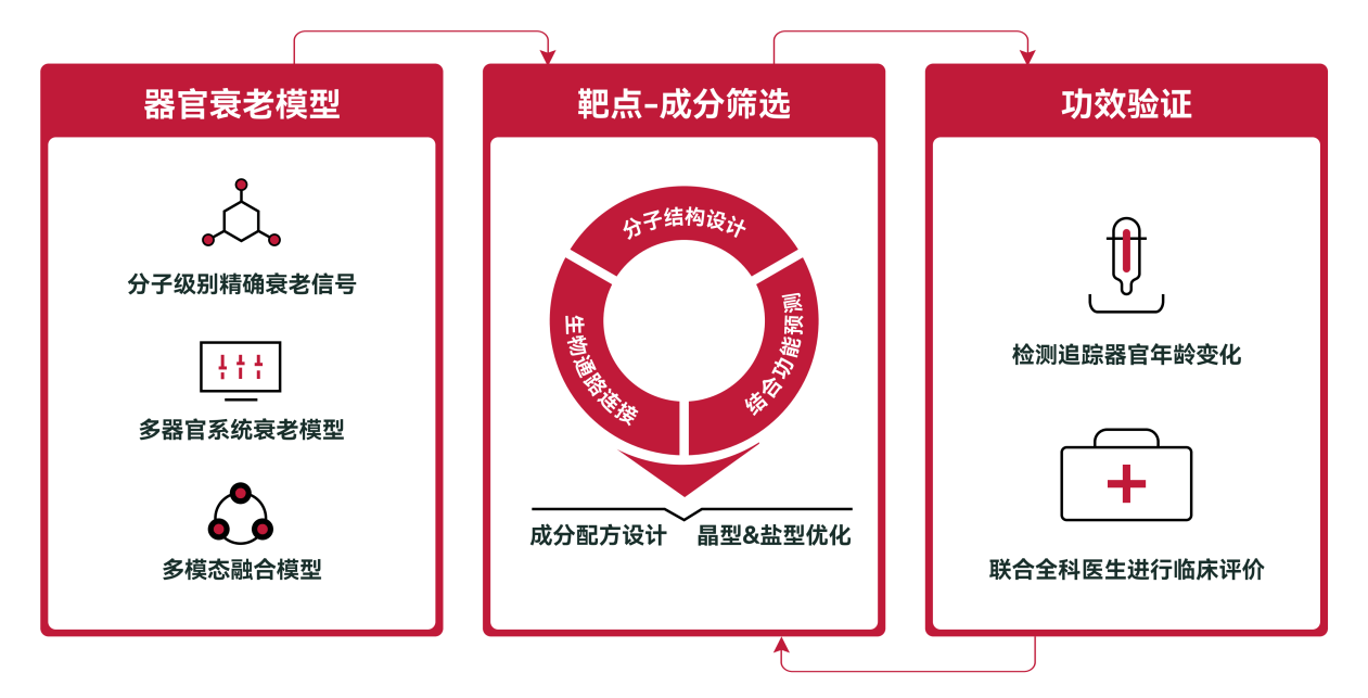 LAIFE「乐维源」：洞悉男性隐秘心声，给予男性贴心关怀！