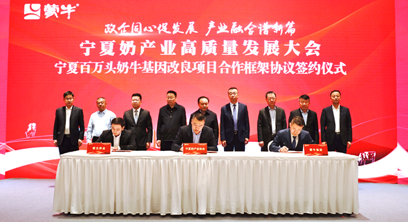 华安基金总经理张霄岭：坚实步伐，充满信心，探索2024年高质量发展路径
