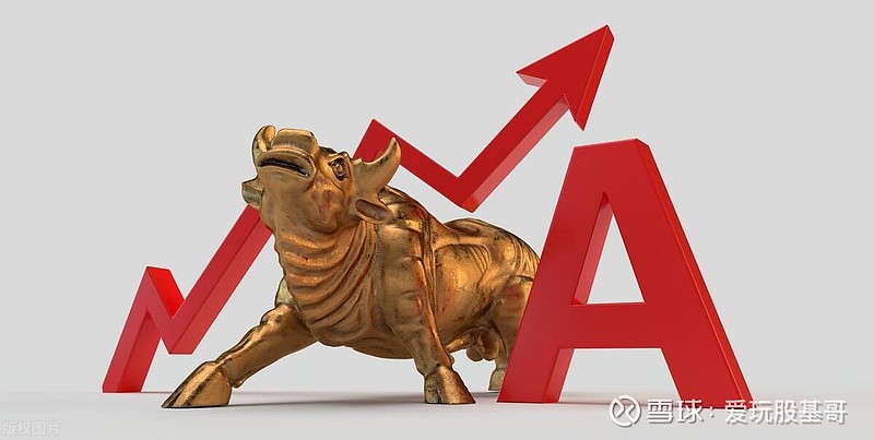 预见金龙｜大成基金谭晓冈：以持有人利益为核心，坚持做最值得信任的资产管理机构