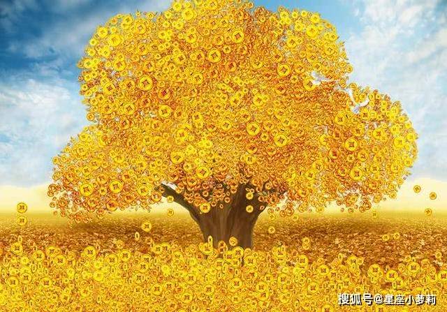 预见金龙｜大成基金谭晓冈：以持有人利益为核心，坚持做最值得信任的资产管理机构