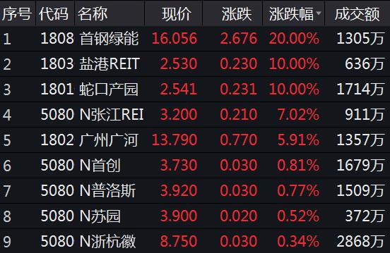 涨到停牌！REITs一涨一跌，后续怎么走？