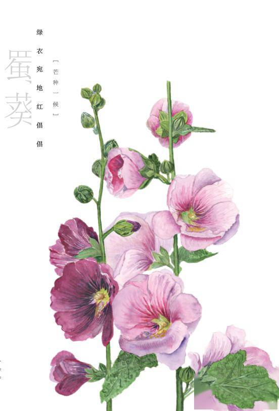 大成基金总经理谭晓冈： 冬至阳生 春山可望