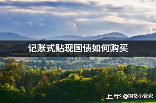 财政部决定发行2024年记账式贴现（十七期）国债（91天）