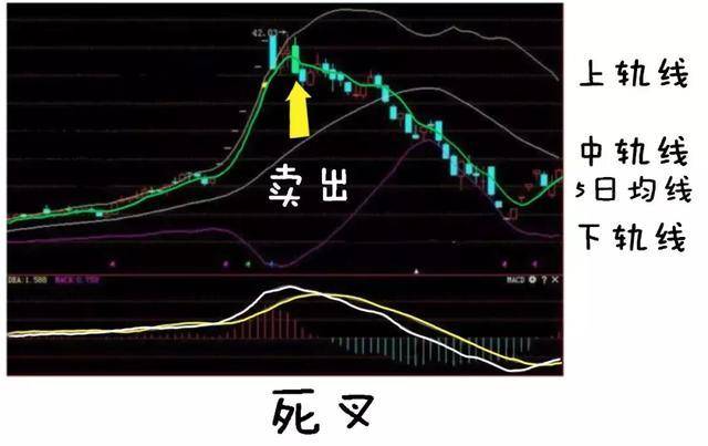 345只股短线走稳 站上五日均线