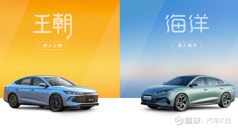 比亚迪最新回应！王朝、海洋App故障已恢复正常