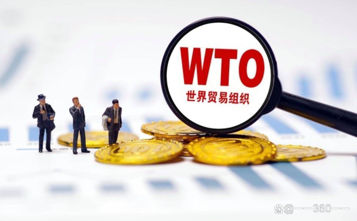 如果回不到以WTO为中心的体系，新的世界体系会是怎样的？｜博鳌观察