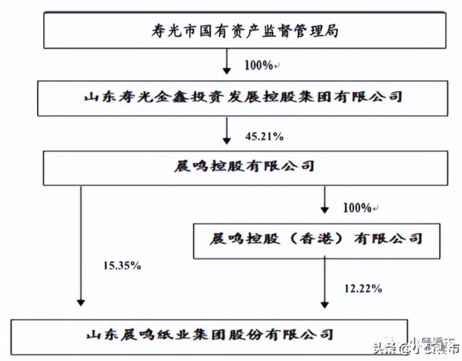 晨鸣纸业发布2024年财报 聚焦主业发展“止血+造血”并行