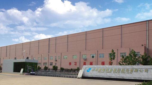 晨鸣纸业发布2024年财报 聚焦主业发展“止血+造血”并行