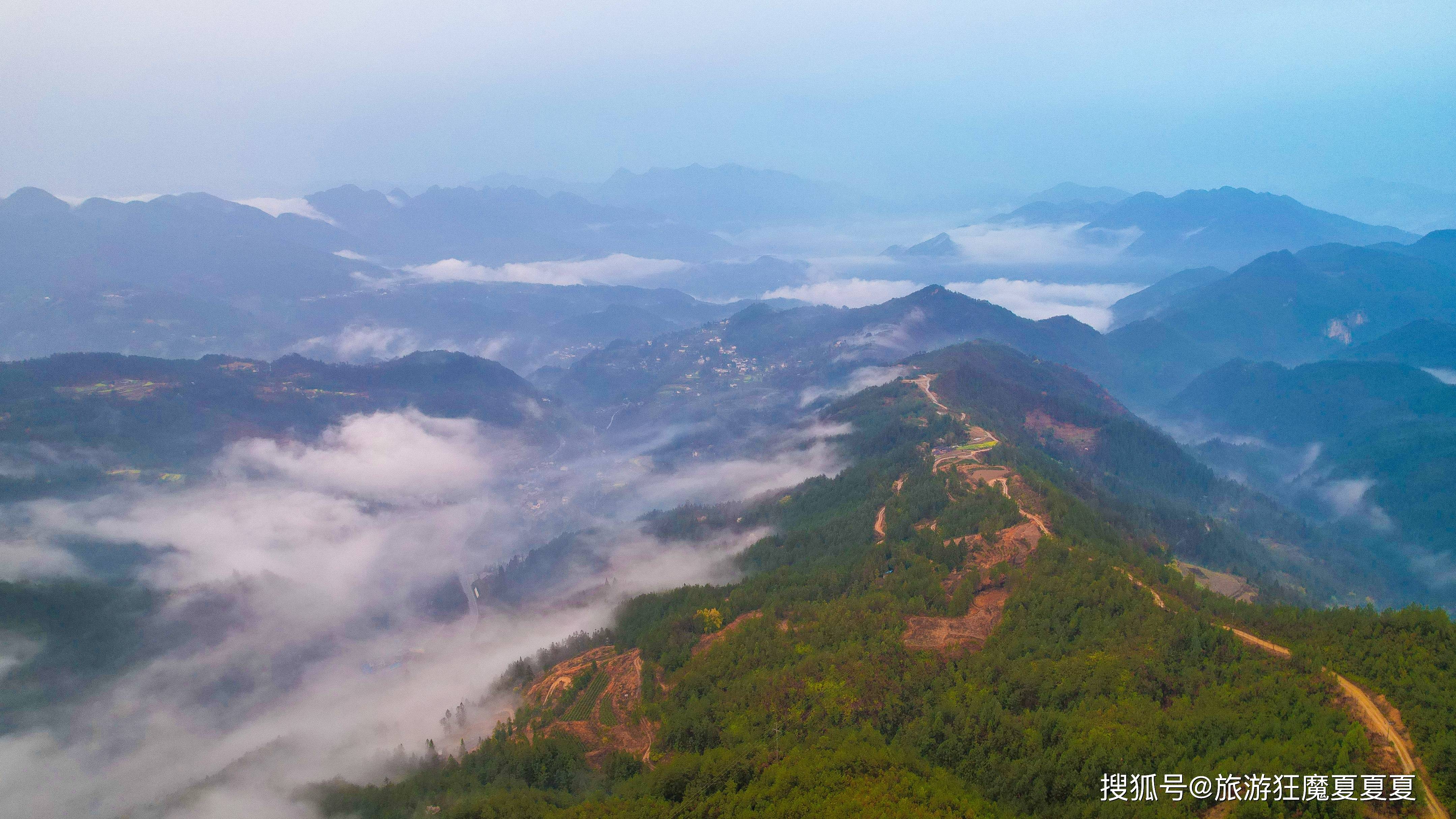 罗将成为东南欧最大农产品生产和出口国，自给率超100%