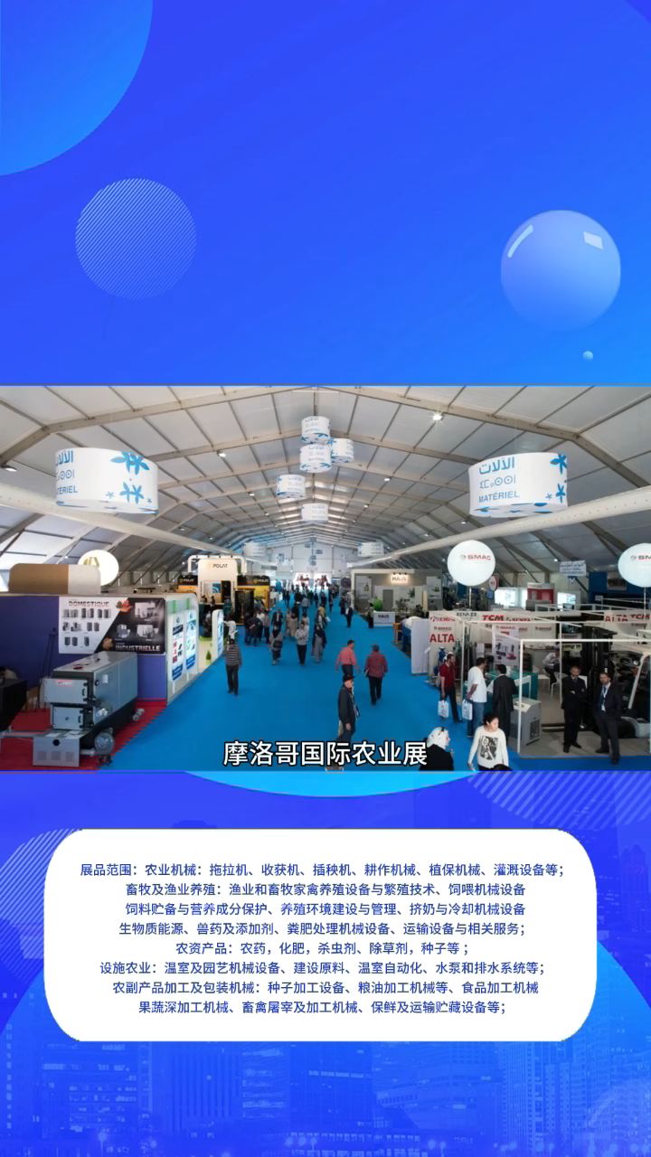 摩洛哥2025年一季度汽车出口放缓