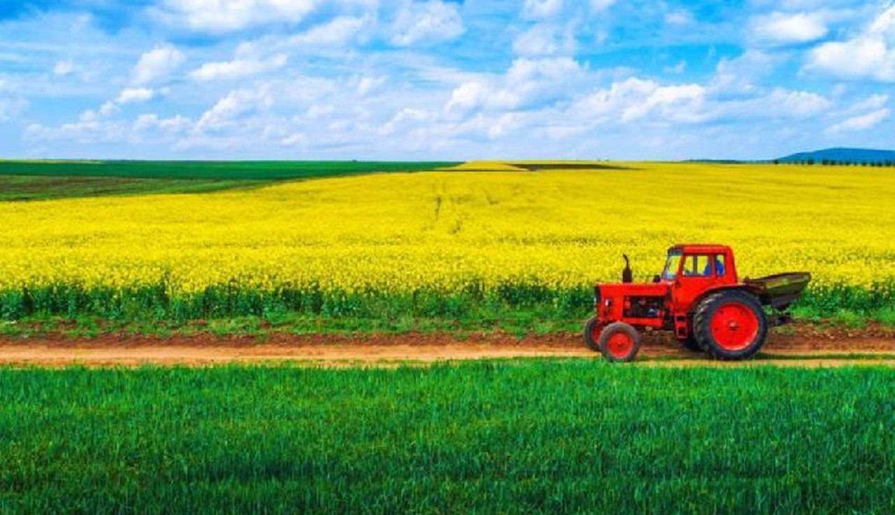 尼食用油出口激增遭贸易操纵质疑