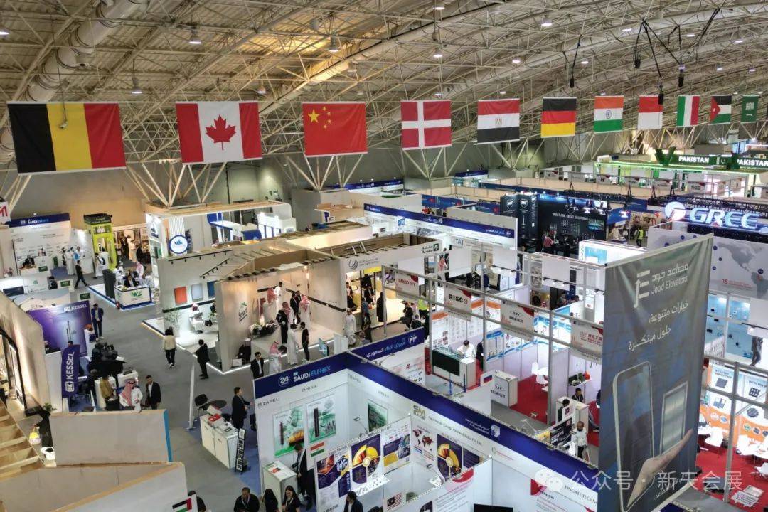 2024年沙特私营部门本国公民就业人数达240万