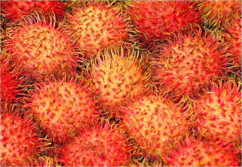 泰商业部副部长纳平通赴盒马推广泰国水果