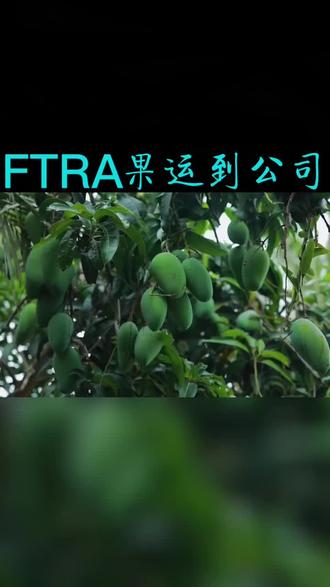 柬埔寨推行农产品“原产地识别二维码标签”计划 赋能农业出口