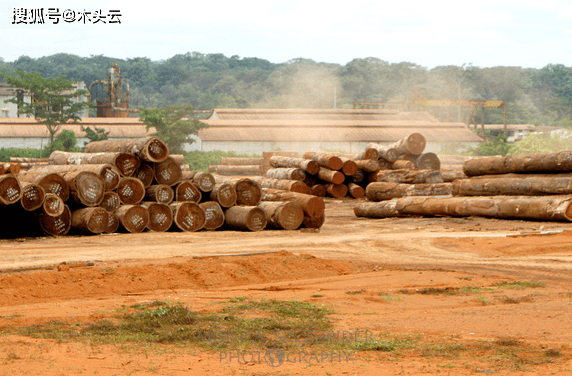 中非经货共同体（CEMAC）：喀麦隆如期偿还460亿中非法郎债务，恪守承诺