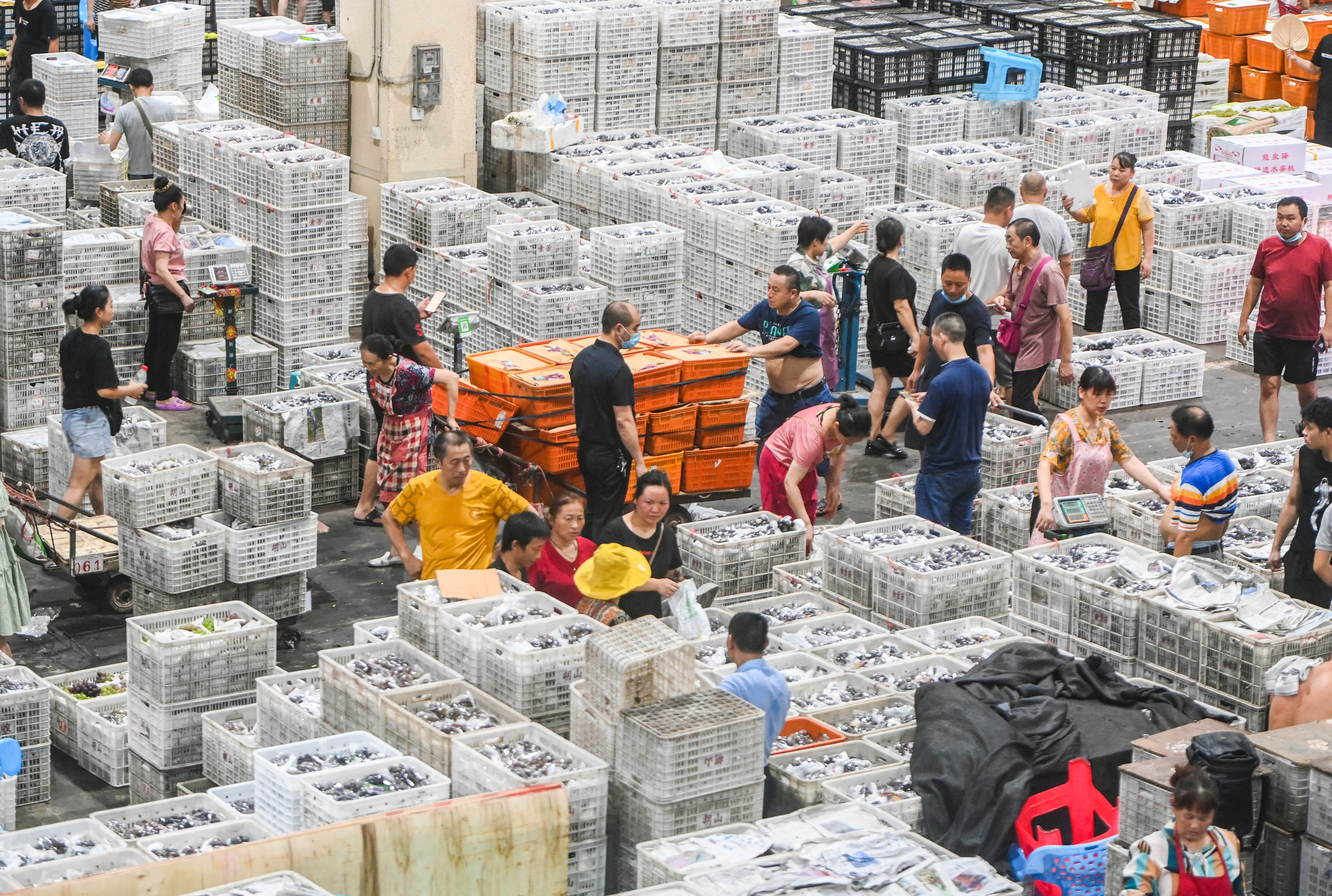 努胡德农作物交易市场营业中断