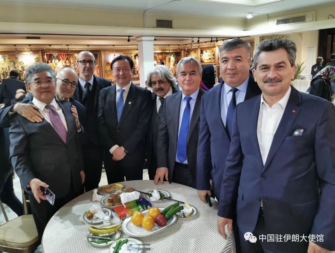 唐中东大使出席“碳汇林”项目可行性研究研讨会