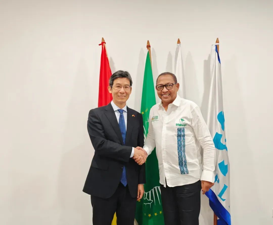 驻几内亚比绍大使杨仁火出席援几比药械交接仪式