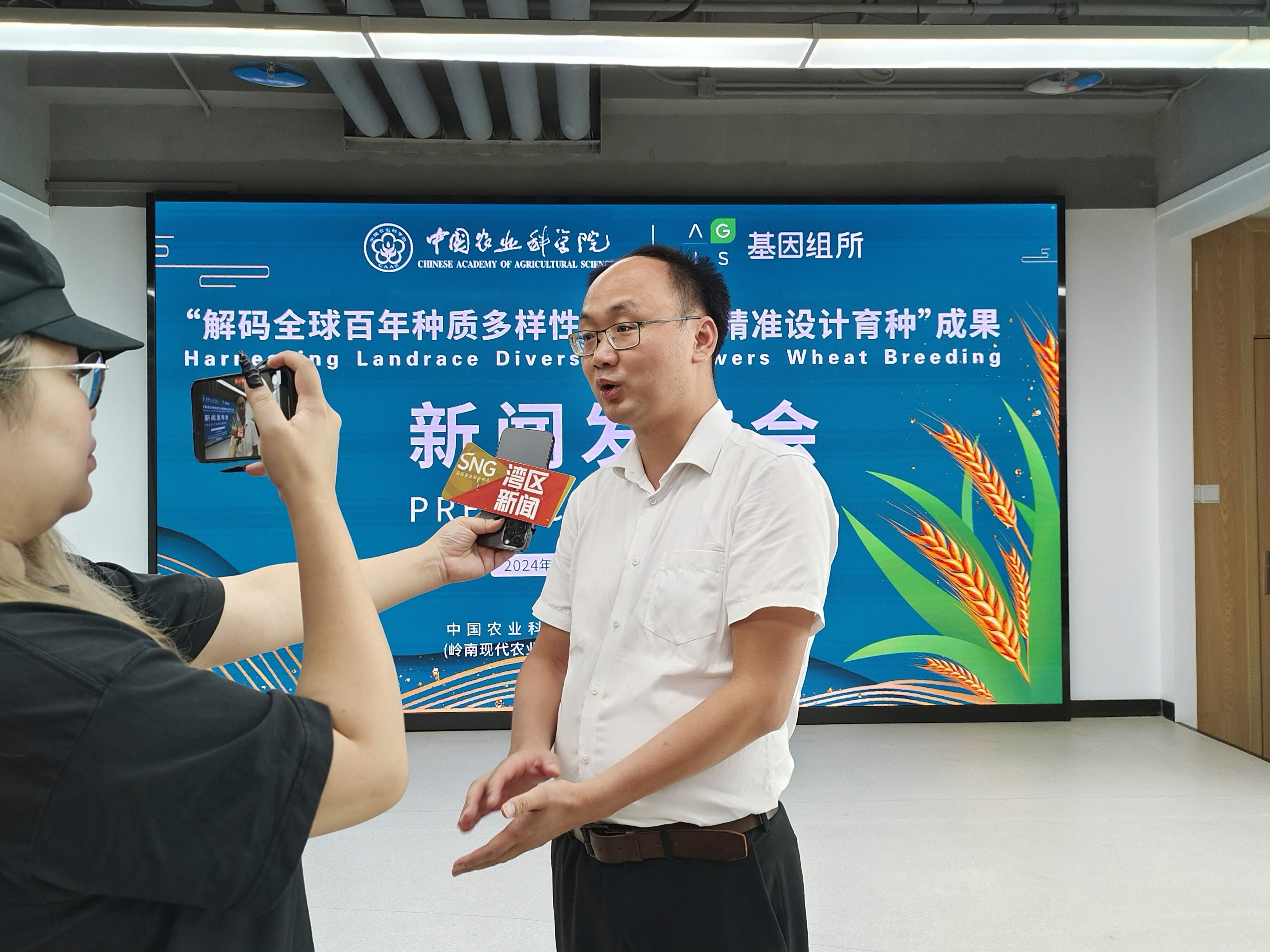 北京农林科学院与滨州市农业科学院联合选育小麦新品种