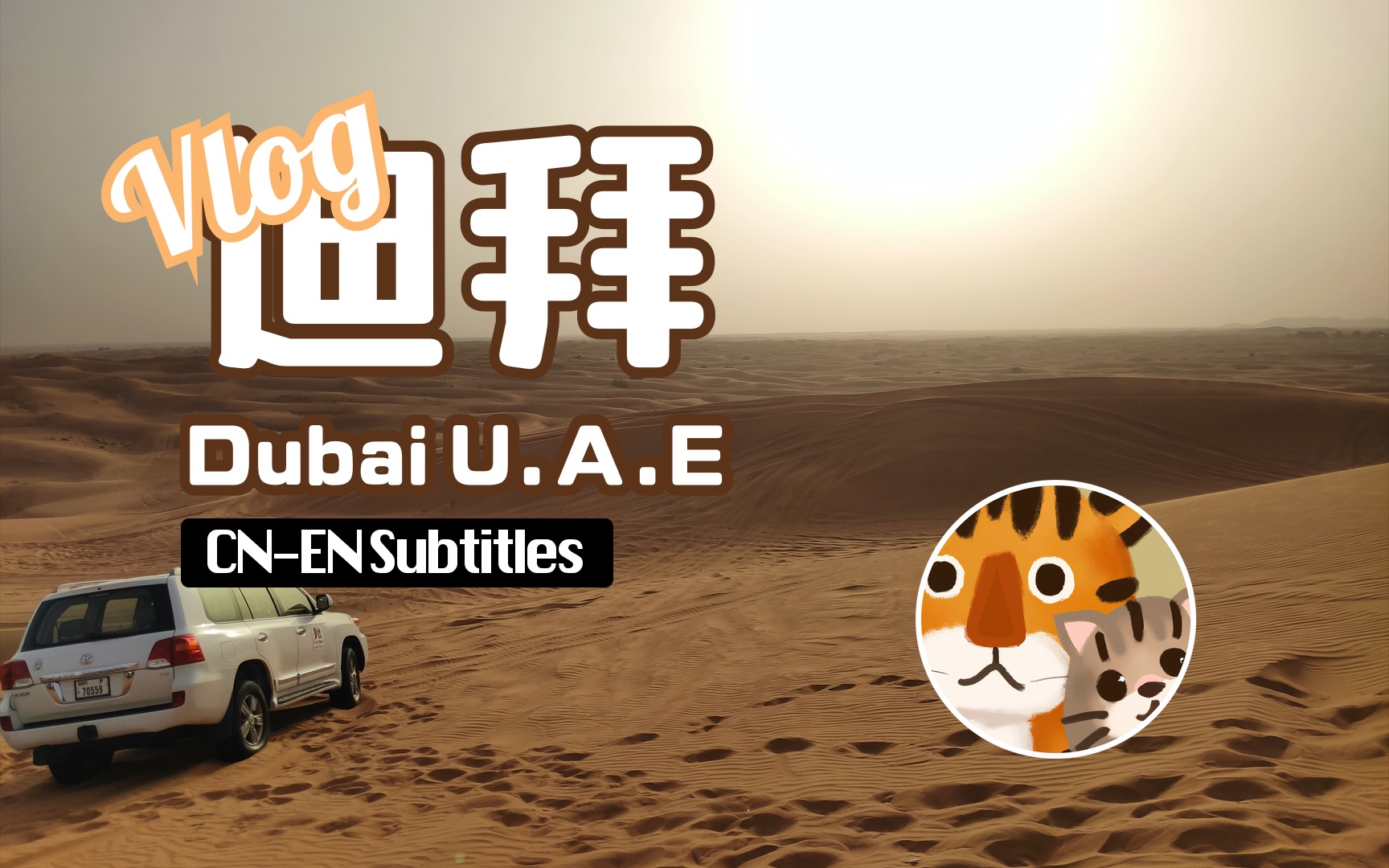 迪拜游戏产业发展迅猛