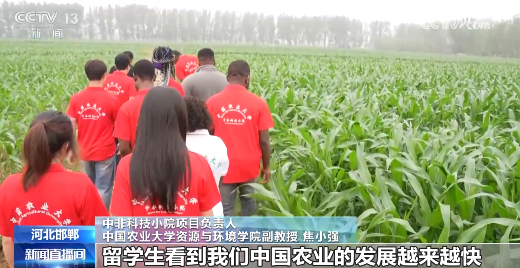 中非绿色合作播种非洲“绿色长城”的未来――访毛里塔尼亚环境部长拉格达夫