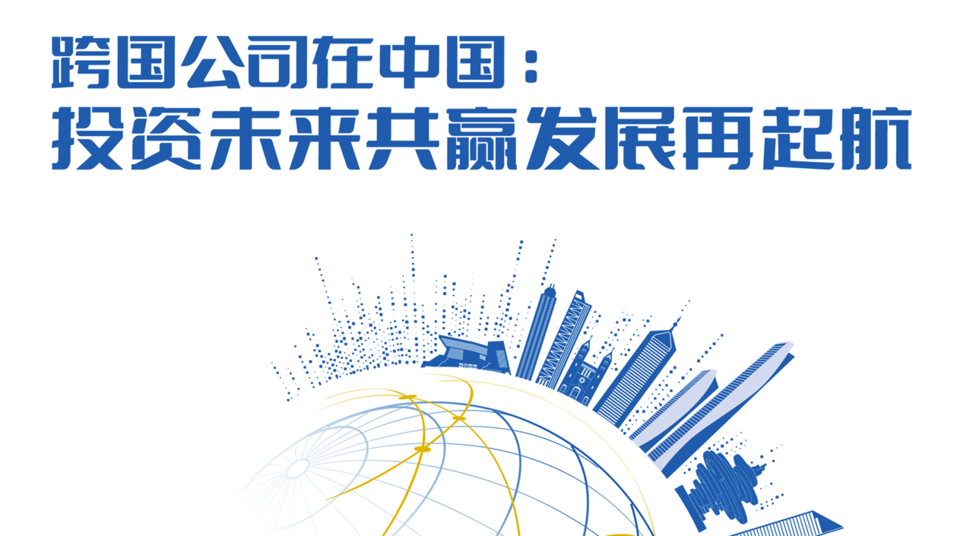 跨国公司新意思