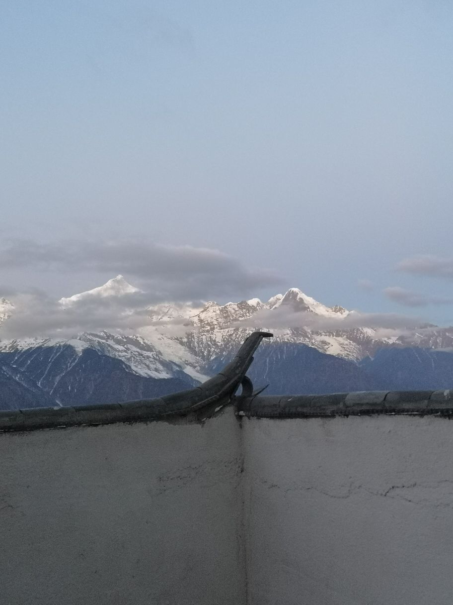 我馆参加2025年首届太平洋卡瓦节并助力汤加卡瓦特色产业发展