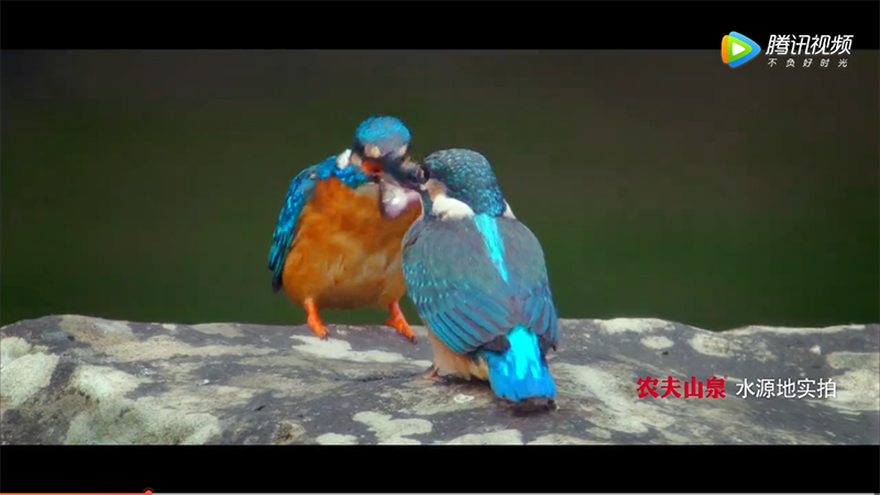 “脉动”立体广告惹争议，创意与公共空间的边界在哪里？