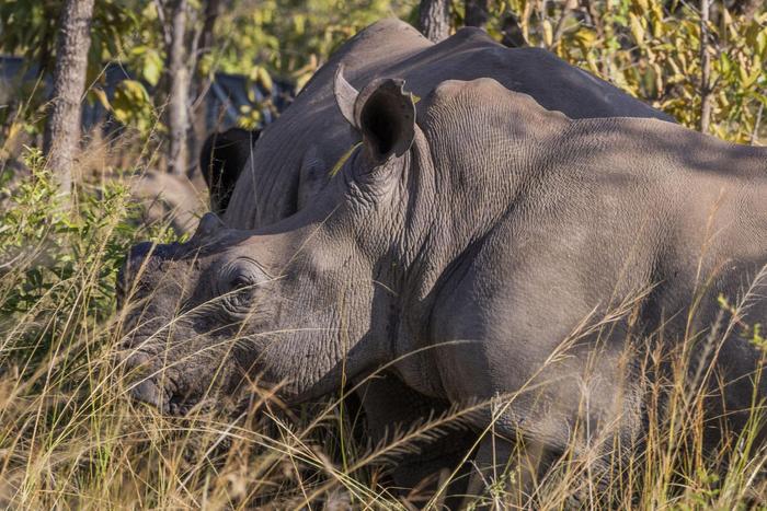 卢旺达2025/26年度预算的六大亮点