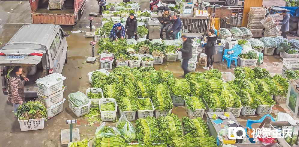 农业农村部：全国农产品批发市场猪肉平均价格为20.28元/公斤 较上周五升0.2%