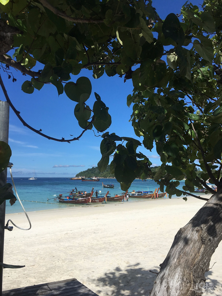 泰国全面清剿“代持人”企业及劣质进口商品