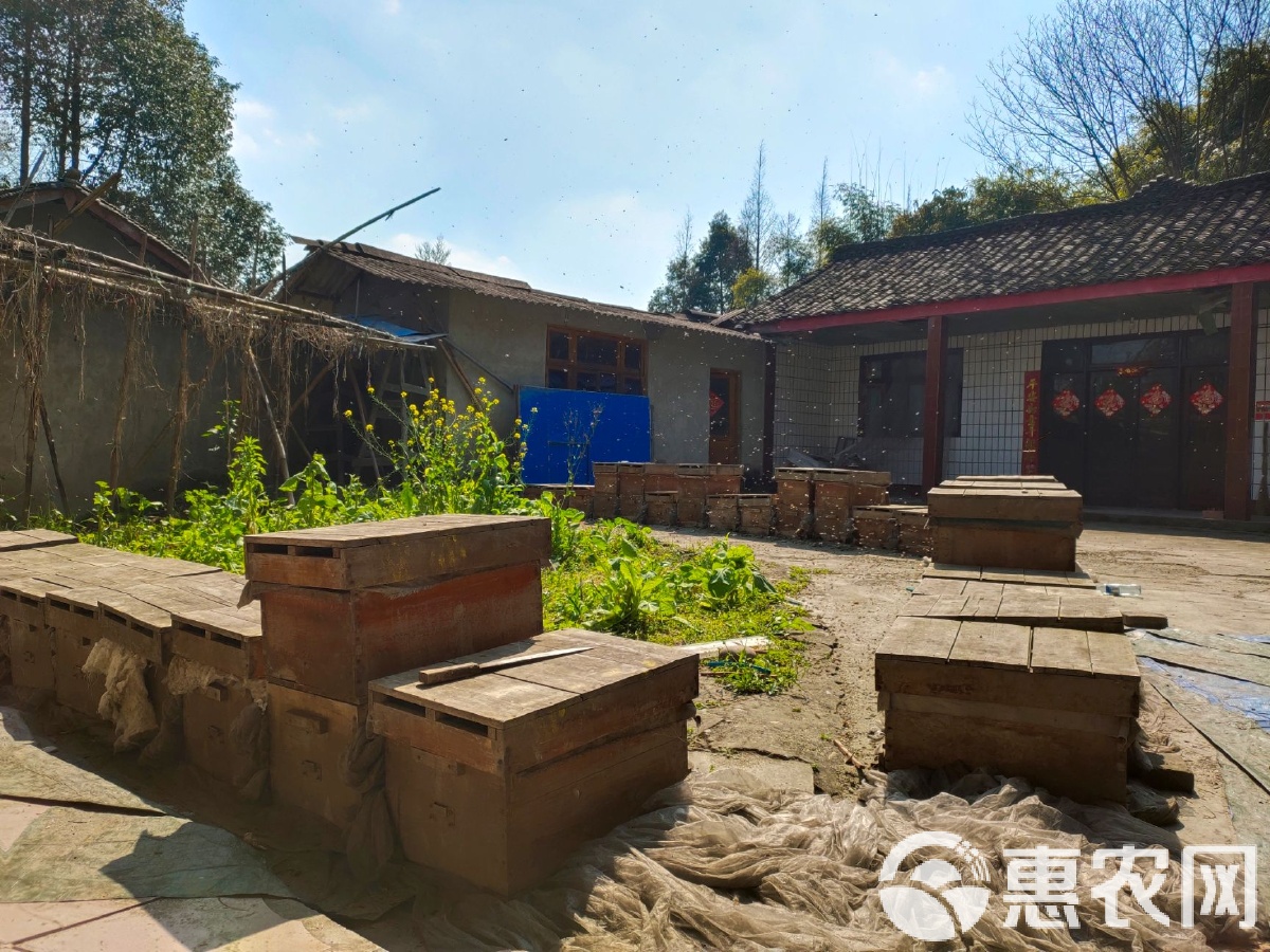 中亚―意大利峰会在阿斯塔纳召开