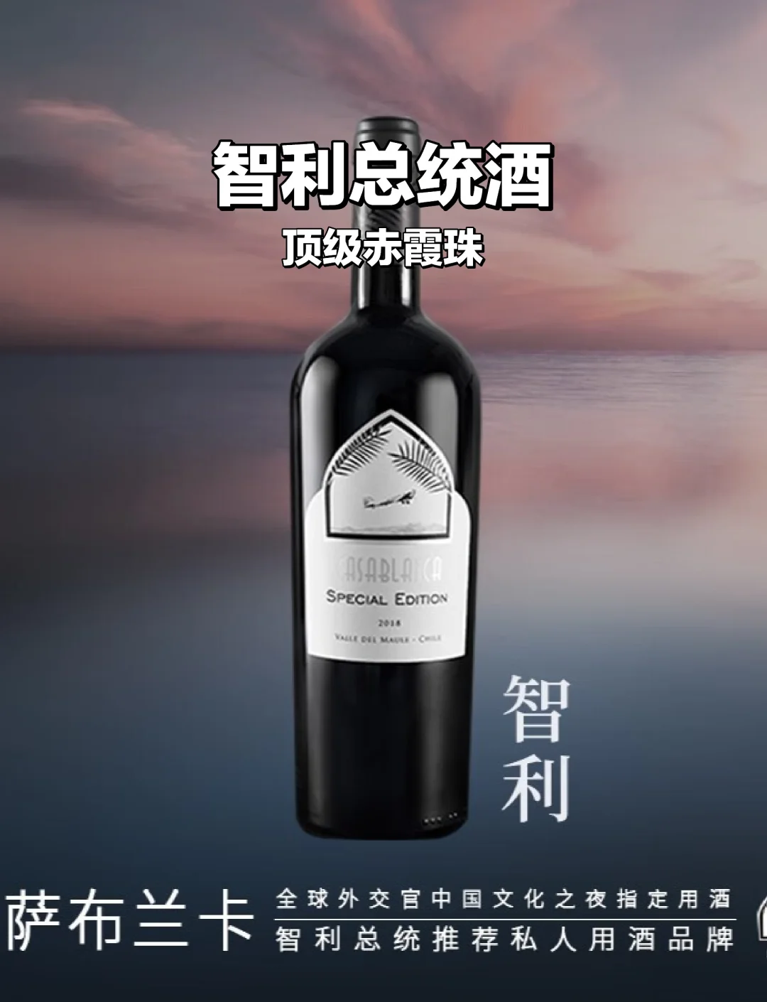 智利总统宣布修宪提案以保护原住民利益