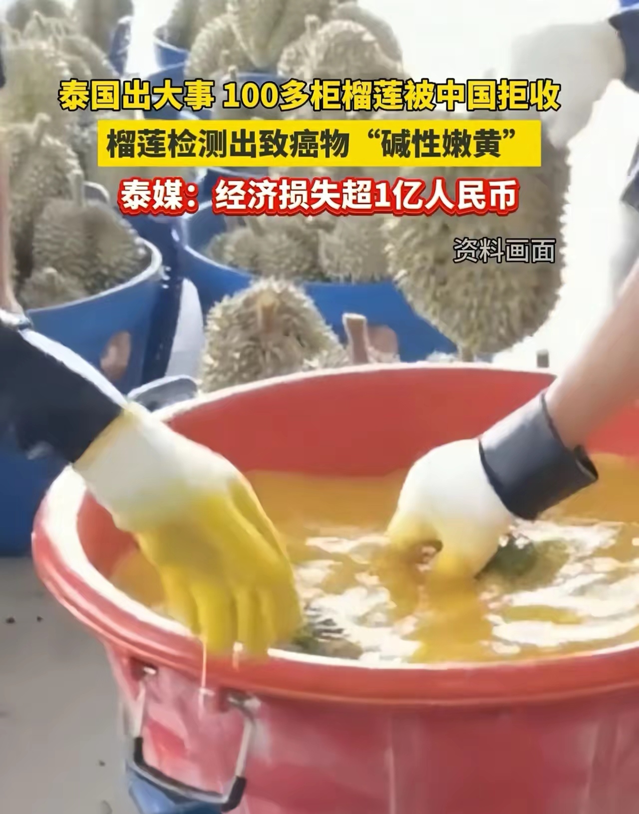 泰国榴莲对华出口量大增