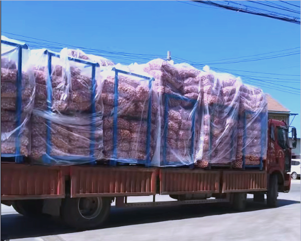 踩信披红线被罚的博瑞医药：奥司他韦需求下滑拉低支柱业务增速，净利三连跌后持续承压，重金押注减肥药成效待考