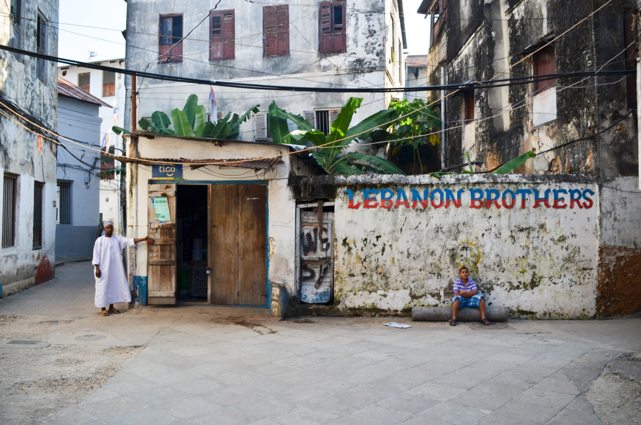 桑给巴尔积极开展环保宣传