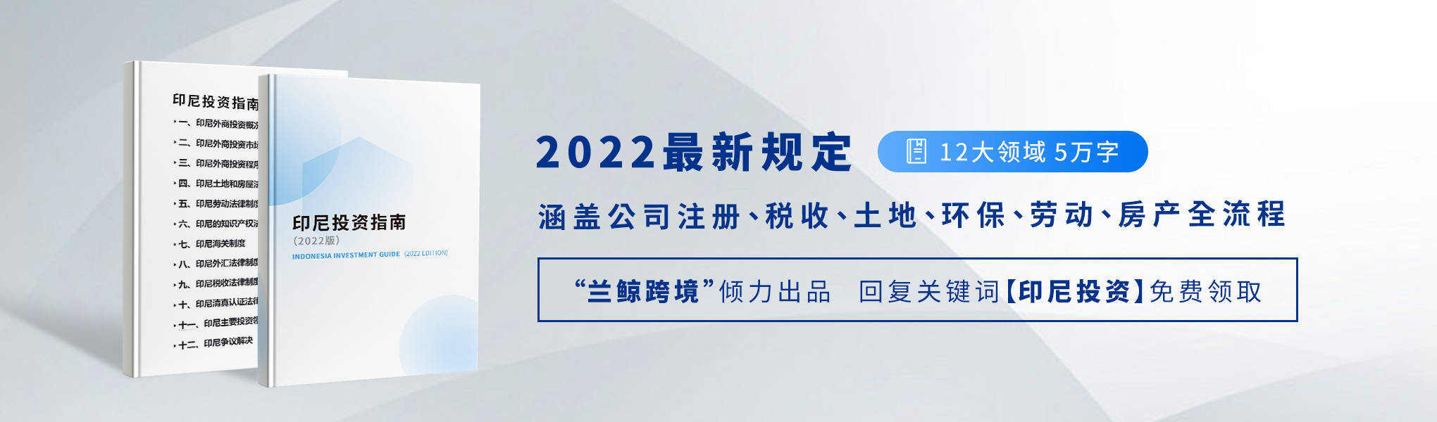 印尼主权财富基金达南塔拉向印尼鹰航注资4.05亿美元