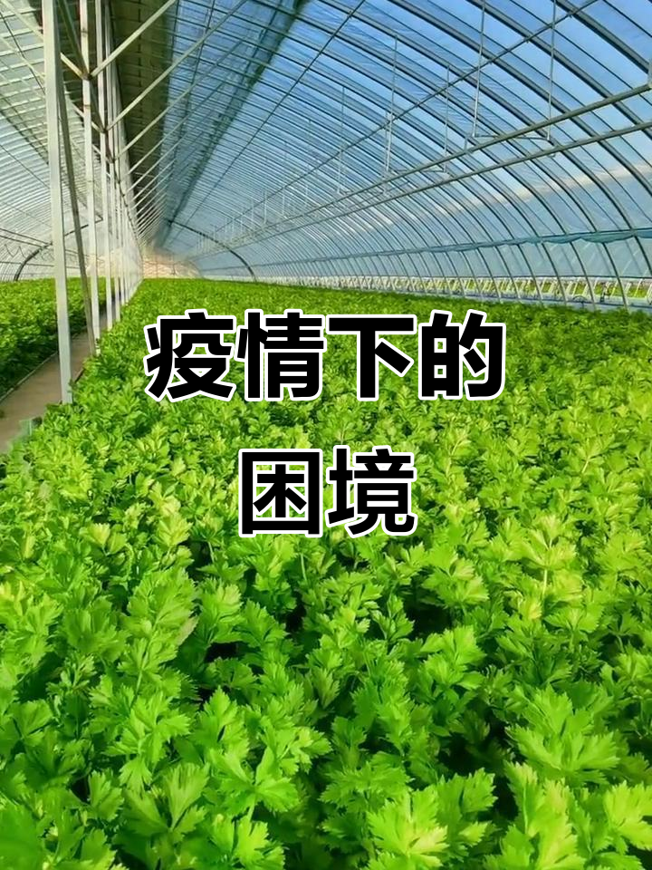 困境中的内阁问题堆积如山