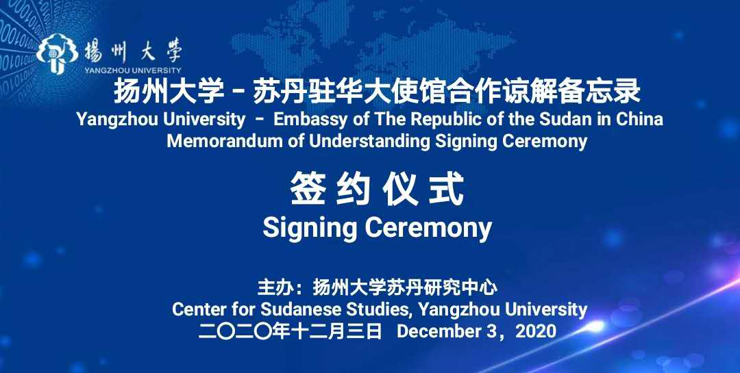 开罗大学教授称苏丹8月底有发生洪水的风险