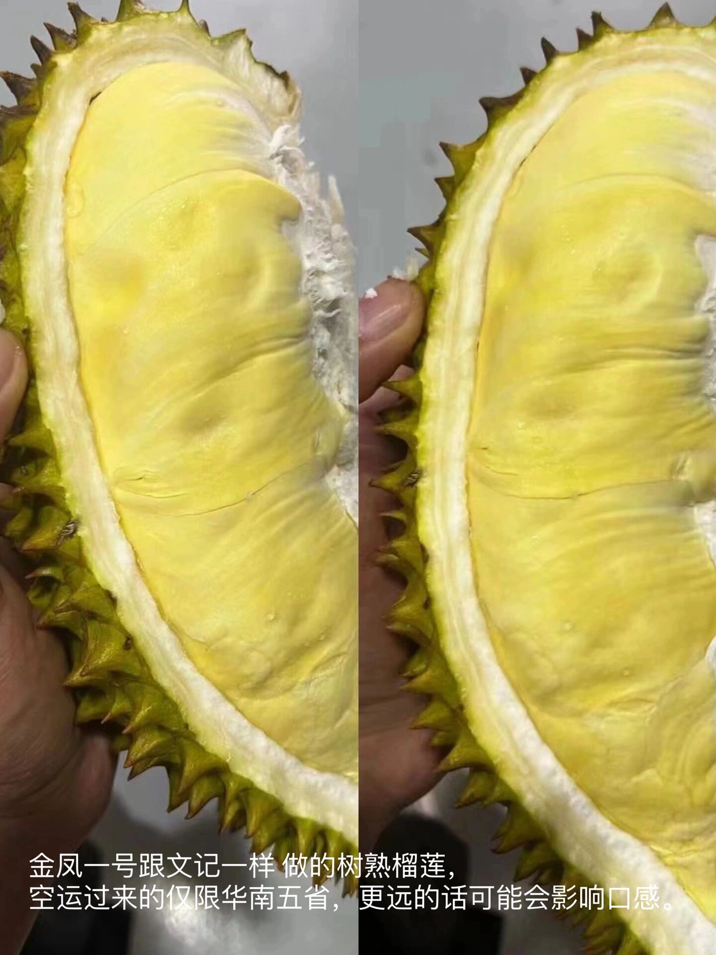 泰农合部成立专门委员会保证榴莲出口品质