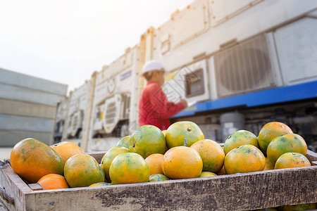泰国邮政全国免费送水果