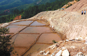 加纳成立国家反非法采矿行动秘书处