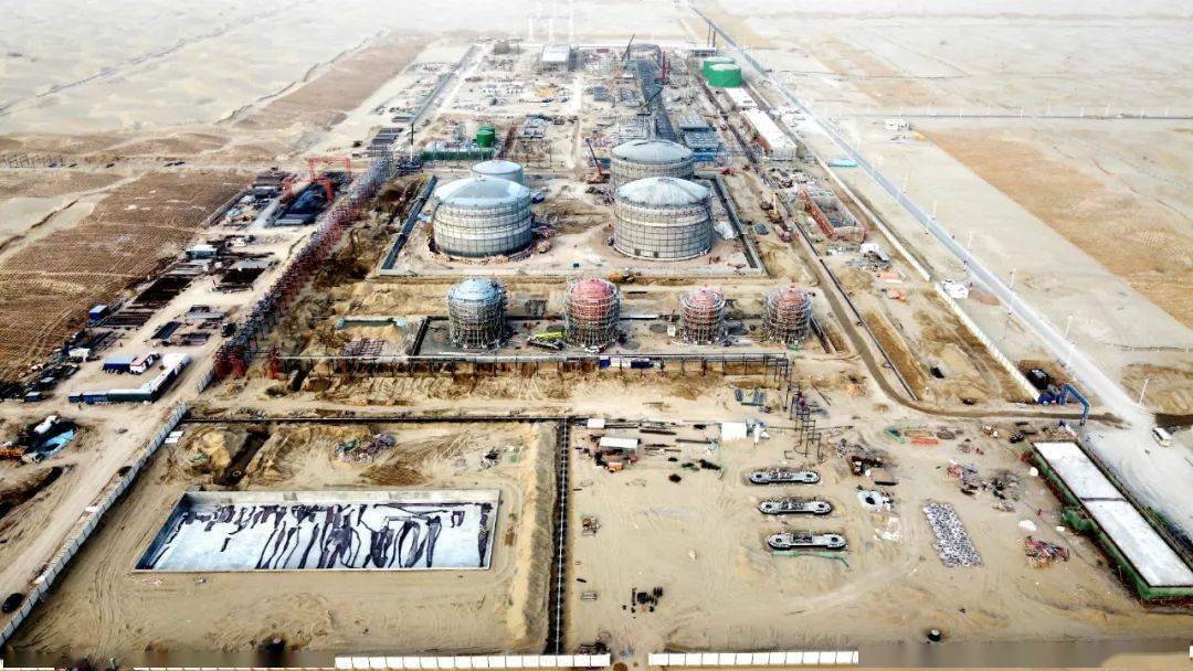 委内瑞拉可可年产量超1.6万吨