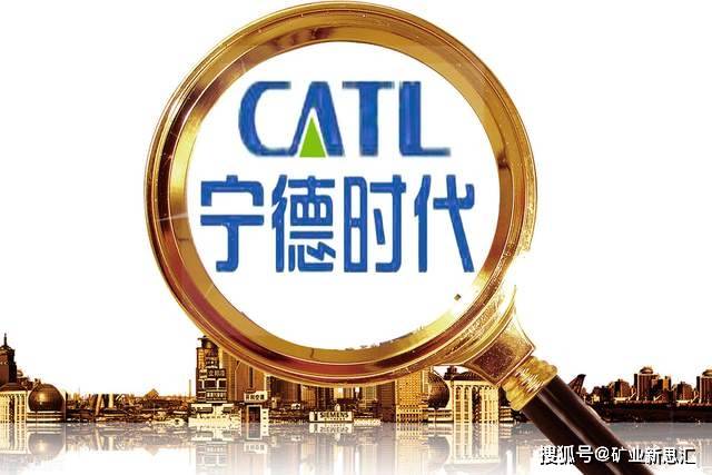 尼食用植物油转口贸易正不断发展