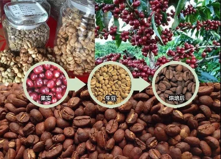 肯尼亚全面推行电子采购系统