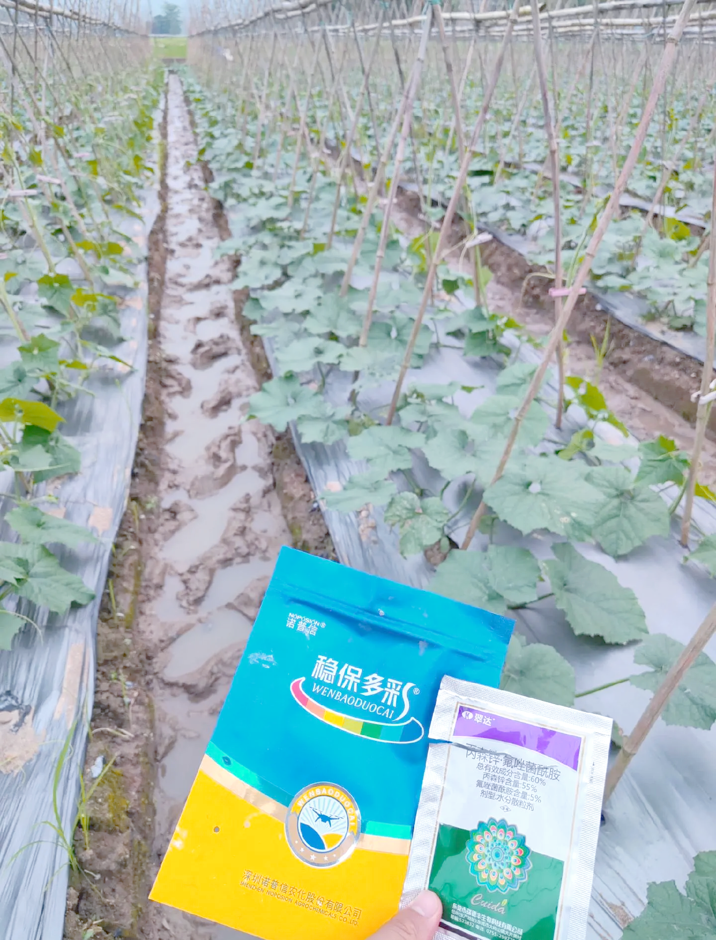 农业农村部召开座谈会强调持续抓好产能调控　多措并举降本增效推进生猪产业稳定健康发展