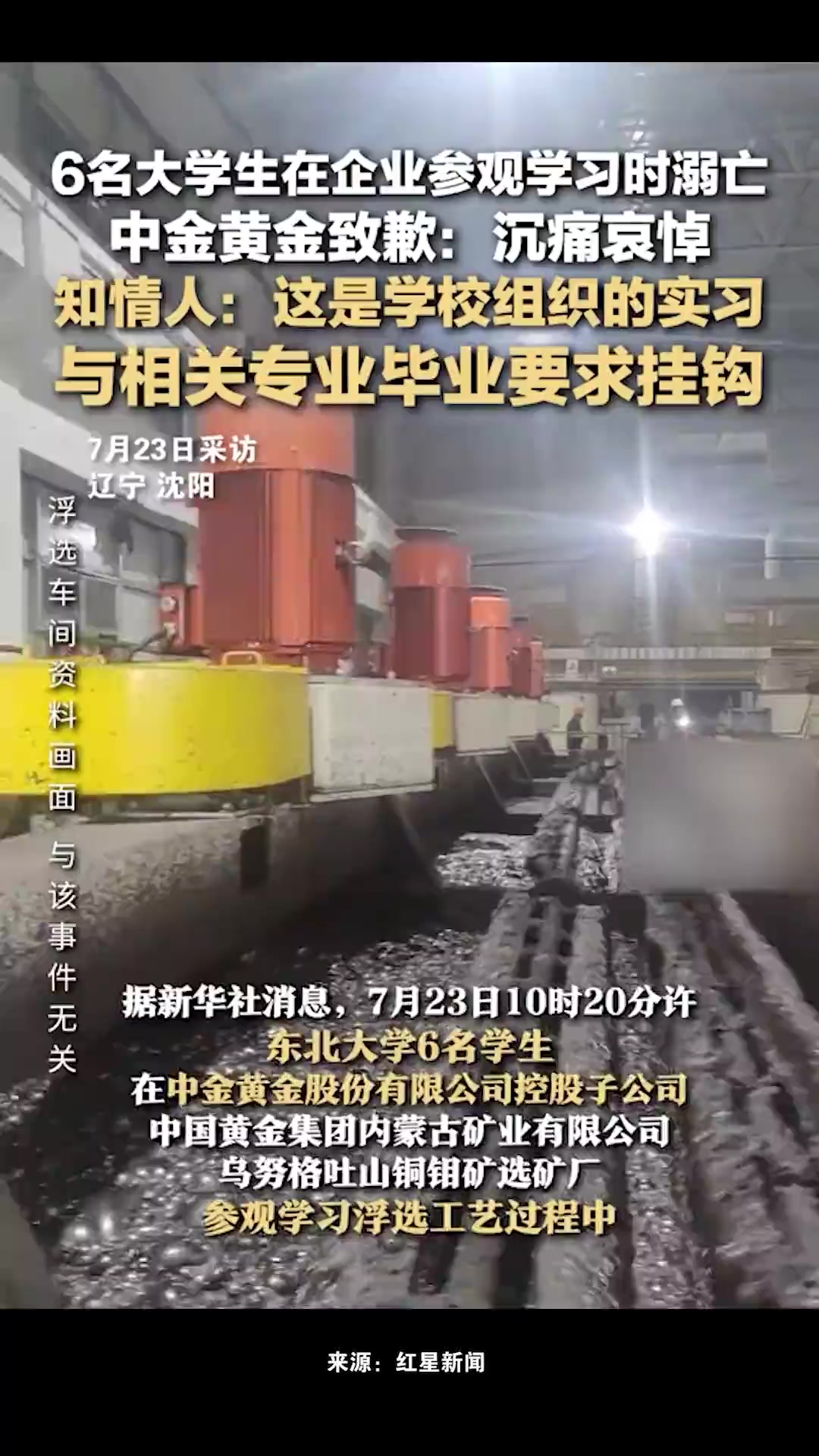 6名大学生参观企业时不幸溺亡，中金黄金股价大跌