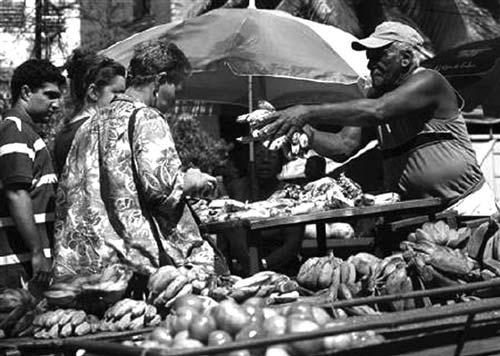 古巴政府向六省投放百辆新型微巴