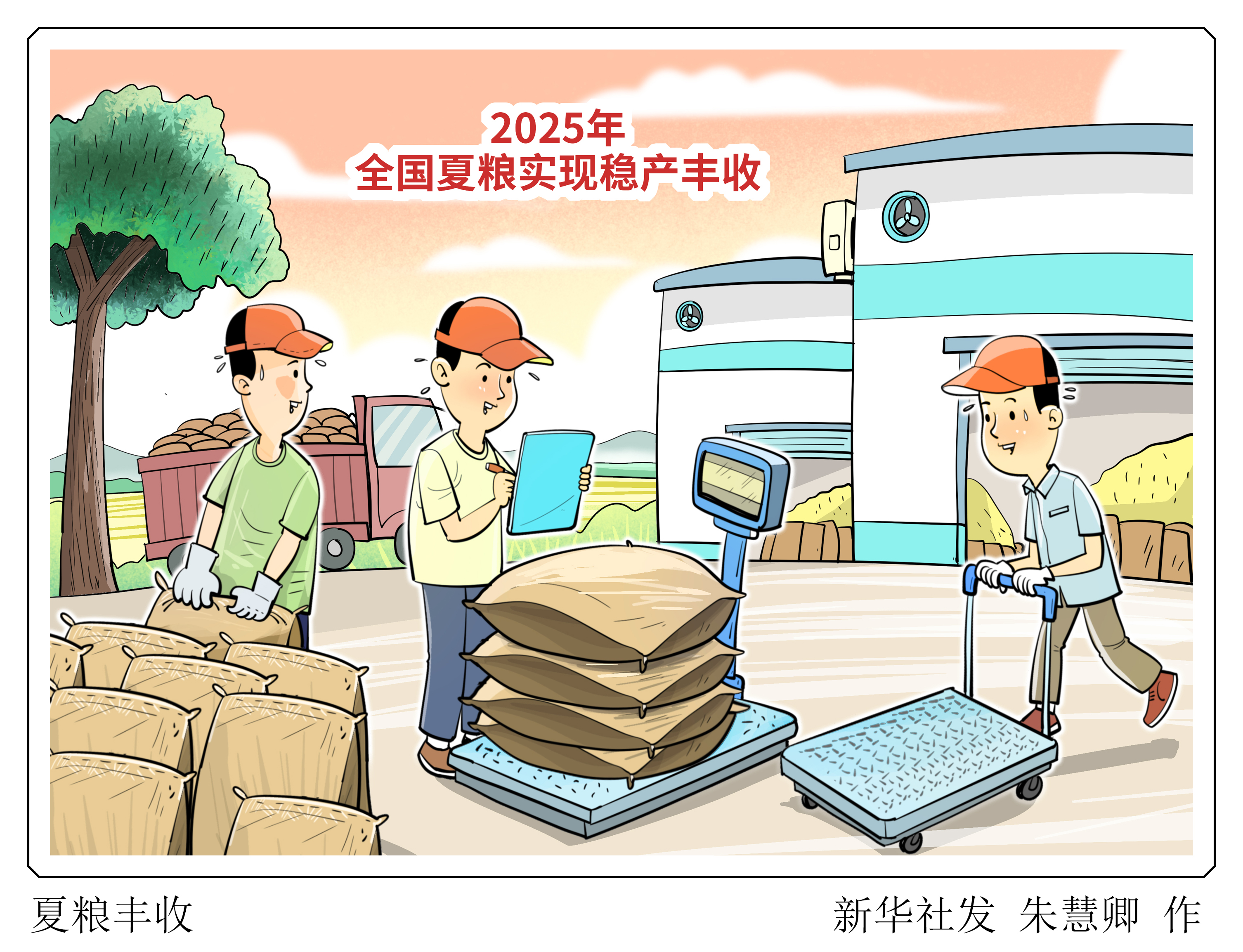 今年我国夏粮实现稳产丰收